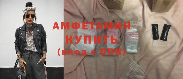 прущие грибы Богданович