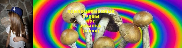 прущие грибы Богданович