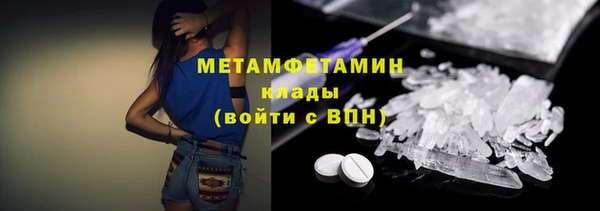 прущие грибы Богданович