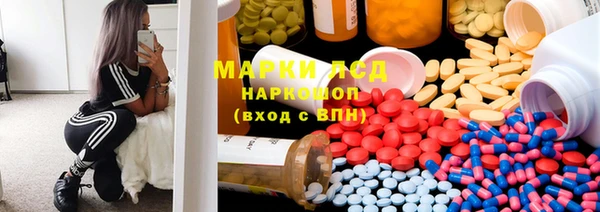 прущие грибы Богданович