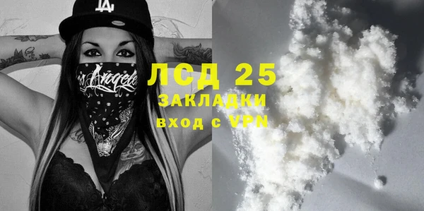 прущие грибы Богданович