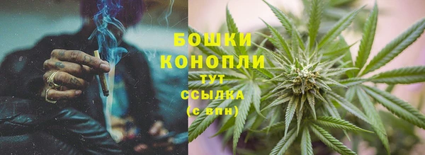 соль ск Богородицк