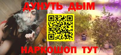 ALPHA PVP Гай
