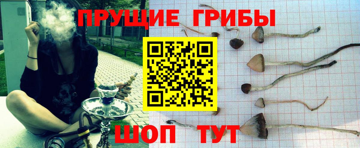 Гай  Галлюциногенные грибы прущие грибы  Вход с VPN 