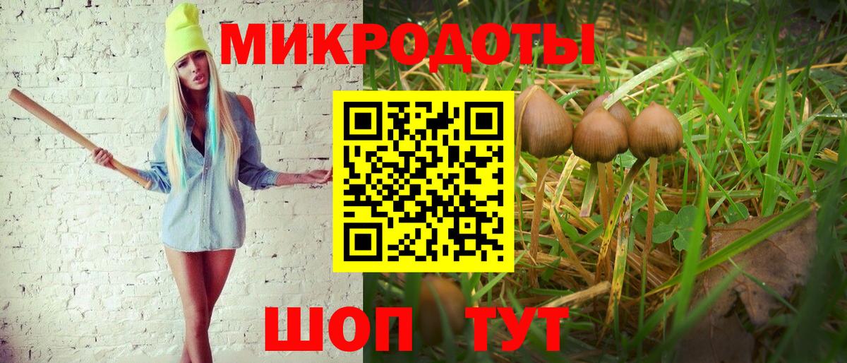 Галлюциногенные грибы прущие грибы Гай