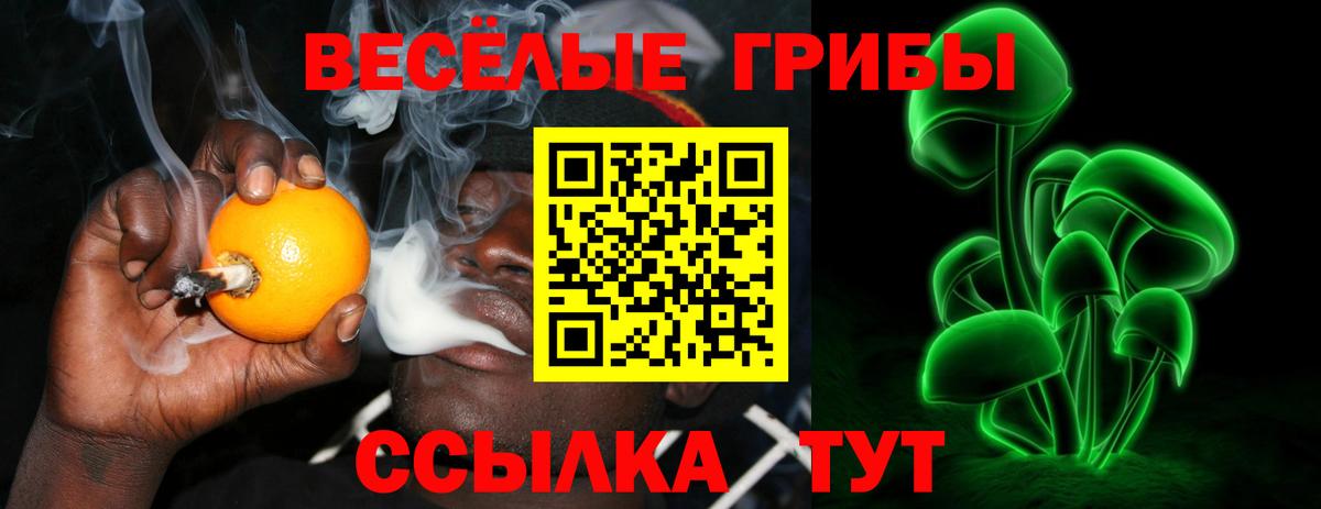 Галлюциногенные грибы Psilocybe Гай