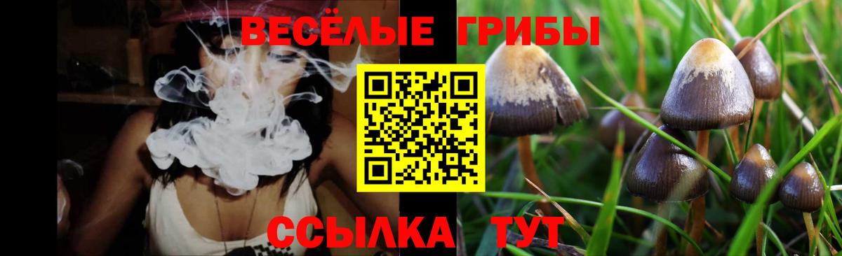 Галлюциногенные грибы Magic Shrooms  Галлюциногенные грибы мицелий  Гай 