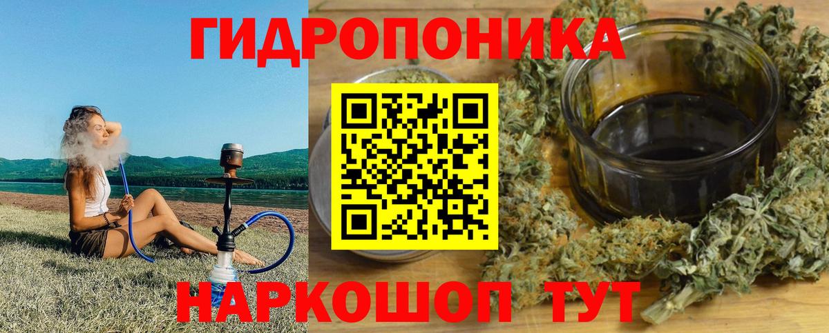 Гай  Конопля тримм  Марихуана тримм  Вход с VPN  Бошки марихуана план 